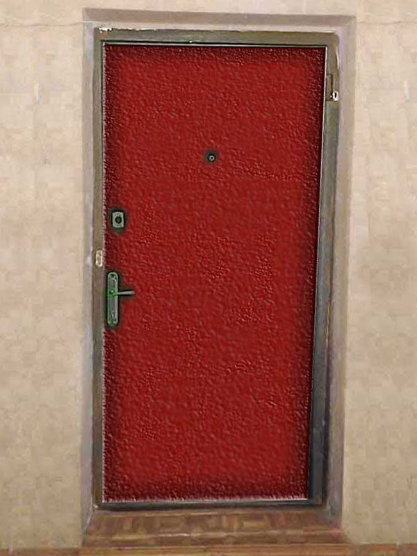 Дверь с фальшкоробом и наличниками