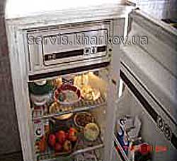 холодильник Днепр2